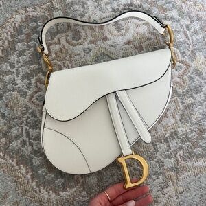 Dior Saddle Bag Latte Color